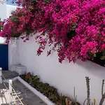 Olive Tree Maisonette Vila *