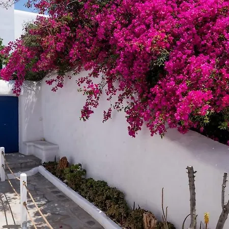 Olive Tree Maisonette Villa *