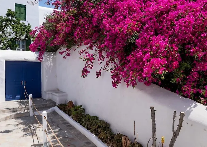 Olive Tree Maisonette فيلة *